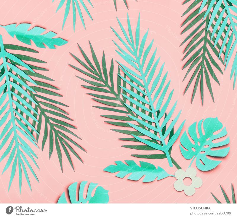 Tropische Blätter Muster auf rosa Hintergrund Design Sommer Natur Pflanze Blatt Dekoration & Verzierung Ornament trendy türkis Hintergrundbild Quadrat Hipster
