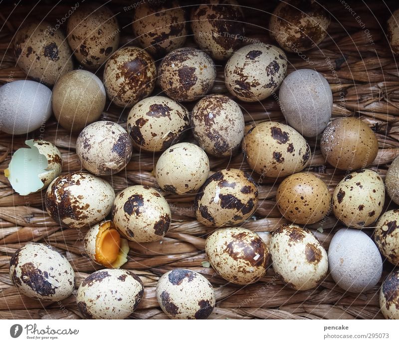 nesthocker Bioprodukte Natur Zeichen fleißig Ei Wachtelei Korb Weidenkorb viele Nest rollen Ostern Osterei Osternest Dekoration & Verzierung Postkarte