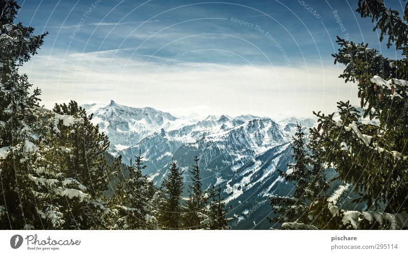 das wirklich letzte winterbild Natur Landschaft Himmel Winter Schönes Wetter Schnee Baum Berge u. Gebirge Schneebedeckte Gipfel kalt Abenteuer Farbfoto