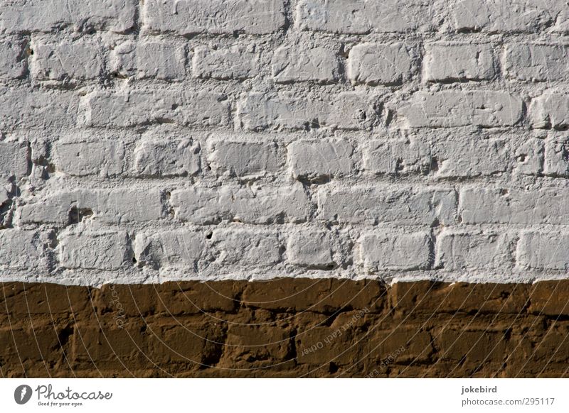 Frisch gestrichen Mauer Wand weiß Backstein Anstrich Strukturen & Formen Ziegelbauweise braun Farbfoto Außenaufnahme Menschenleer Textfreiraum links