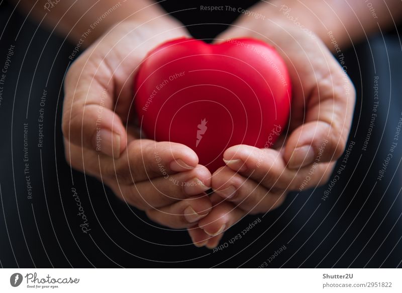 Close up Hände geben rotes Herz als Herzspender. Valentinstag der Liebe Konzept. Medizinisches Beatmungsgerät und Herzspender Wohltätigkeit. Zeichen der Barmherzigkeit und gesund. Helfende Hand in Freiheit Leben Spende