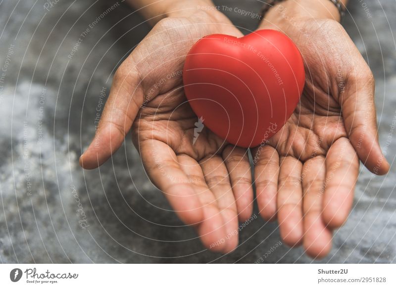 Close up weibliche Hände geben rotes Herz als Herzspender. Valentinstag der Liebe Konzept. Medizinisches Beatmungsgerät und Herzspender Wohltätigkeit. Zeichen der Barmherzigkeit und gesund. Helfende Hand in Freiheit Leben