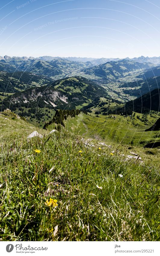 Berner Voralpen harmonisch Wohlgefühl ruhig Ausflug Sommer Berge u. Gebirge wandern Sportstätten Landschaft Pflanze Gras Wiese Wald Alpen Saanenland authentisch