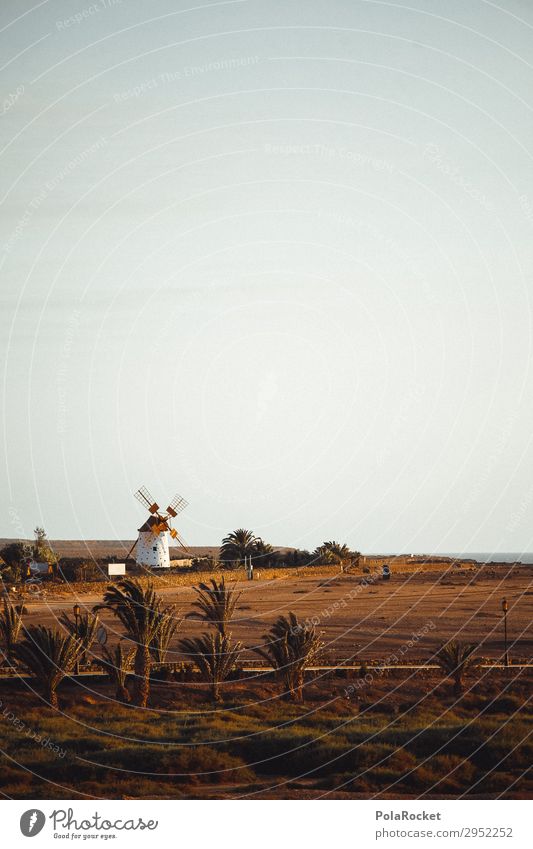 #A# wüste Mühle Kunst ästhetisch Fuerteventura Wüste Urlaubsfoto Spanien Palme Farbfoto Außenaufnahme Experiment Menschenleer Textfreiraum links