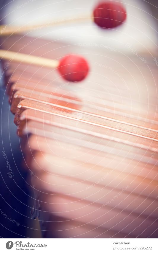 Musik Spielen Marimba Xylophon Musikinstrument musizieren rot Trommelschlegel Farbfoto Nahaufnahme Detailaufnahme Makroaufnahme Menschenleer Textfreiraum unten