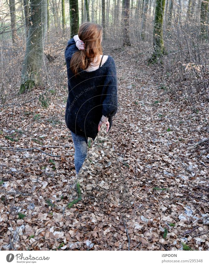 Disparu Stil Mensch feminin Junge Frau Jugendliche Kopf Haare & Frisuren Rücken Beine 1 18-30 Jahre Erwachsene Natur Baum Sträucher Wald Hose Pullover brünett