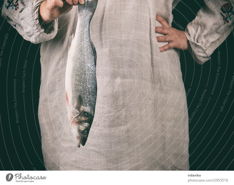 Frau in grauer Kleidung, die einen frischen Seebarschfisch hält. Fisch Meeresfrüchte Küche Mensch Erwachsene Hand 1 18-30 Jahre Jugendliche machen stehen
