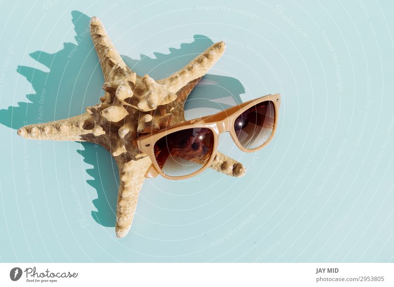 Seestern und Sonnenbrille auf türkisfarbenem Hintergrund schön Leben Erholung Freizeit & Hobby Ferien & Urlaub & Reisen Sommer Natur Mode Accessoire natürlich