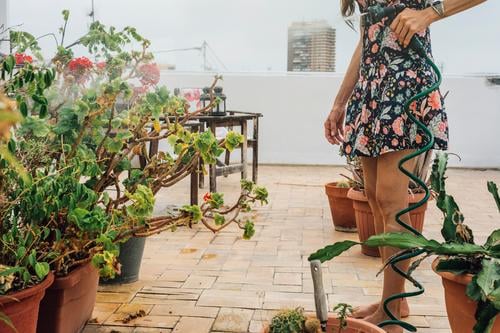 Frau in geblümten Kleidern Bewässerungspflanzen mit Schlauch im Sommer - Lifestyle schön Freizeit & Hobby Garten Arbeit & Erwerbstätigkeit Gartenarbeit Werkzeug