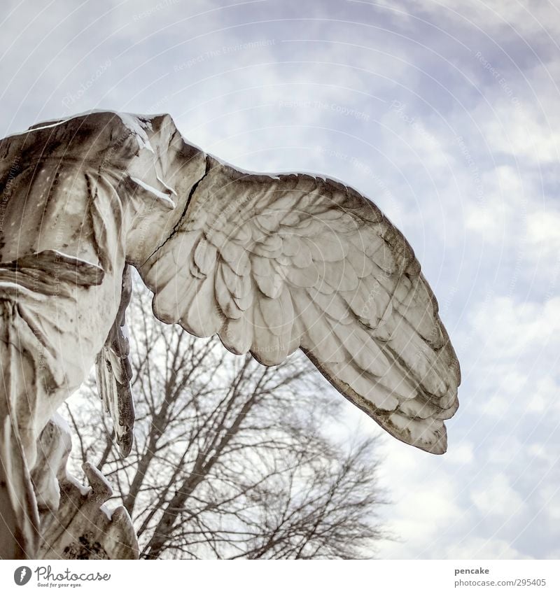 alte grabsteine | falling angel Kunst Skulptur Denkmal Zeichen Stimmung Leidenschaft Verschwiegenheit Opferbereitschaft Engel Flügel Statue fallen umfallen