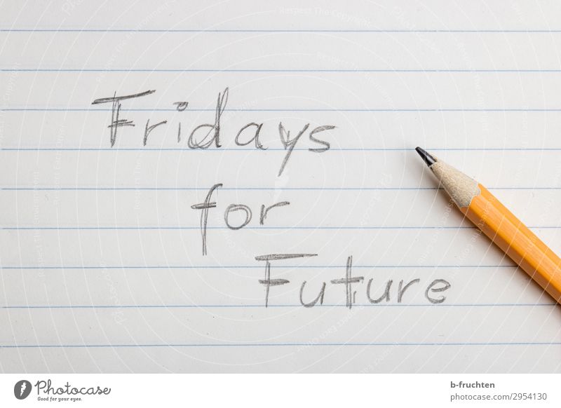 Fridays for future Bildung Schule Umwelt Natur Klima Klimawandel Papier Zettel Schreibstift gebrauchen schreiben Zukunft fridays for future Demonstration