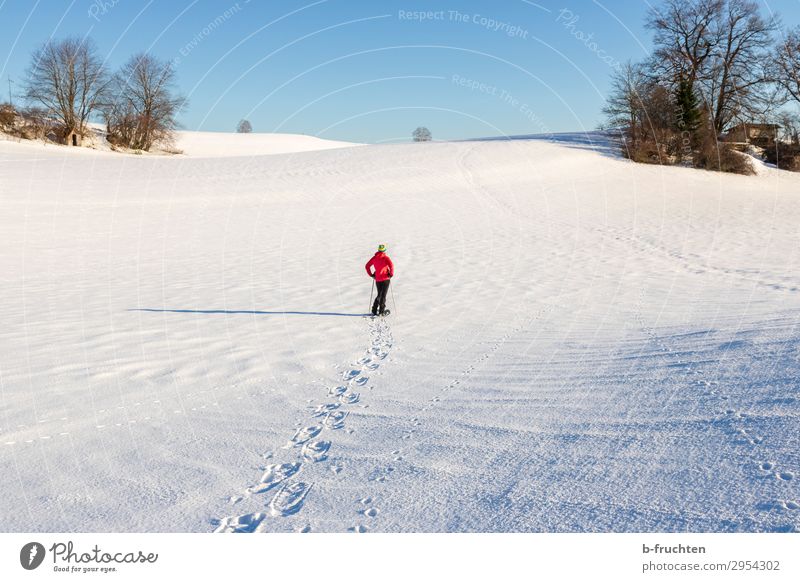 Schneeschuhwanderung sportlich Fitness Zufriedenheit ruhig Freiheit Winterurlaub wandern Schönes Wetter Hügel gehen frei frisch Gesundheit Schneeschuhe
