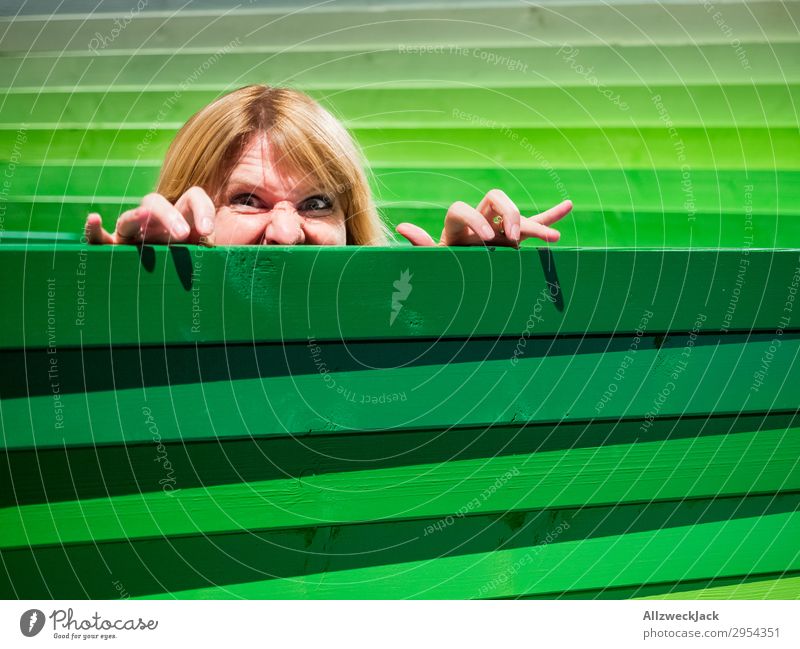 Junge Frau schaut vorsichtig über einen Holzzaun Kopf Zaun Grenze spionieren Blick beobachten Vorsicht grün hervorgucken drüberschauen verstecken Versteck