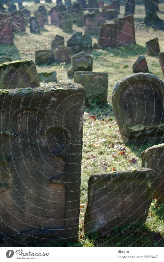 Alte Grabsteine | So richtig alt Wiese Worms Menschenleer Friedhof Sehenswürdigkeit Stein Schriftzeichen Ornament authentisch gruselig Traurigkeit Trauer Tod
