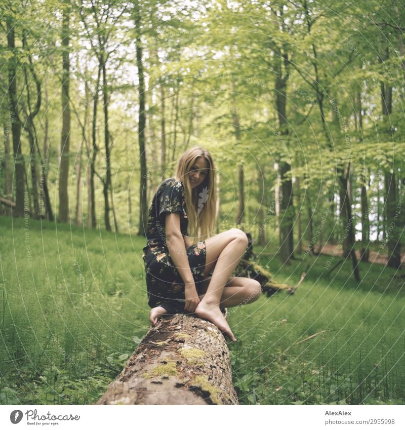Junge Frau auf einem Baumstamm im Wald Stil Freude schön Leben Ausflug Jugendliche Beine 18-30 Jahre Erwachsene Natur Landschaft Frühling Sommer Schönes Wetter