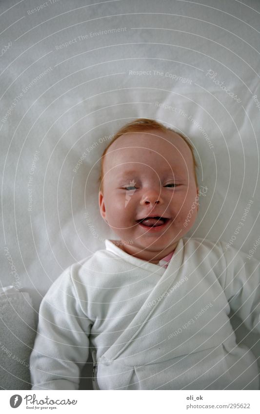 Babylachen Kopf Brust 1 Mensch 0-12 Monate niedlich weiß Fröhlichkeit Zufriedenheit Kindheit Farbfoto Innenaufnahme Textfreiraum oben Vogelperspektive