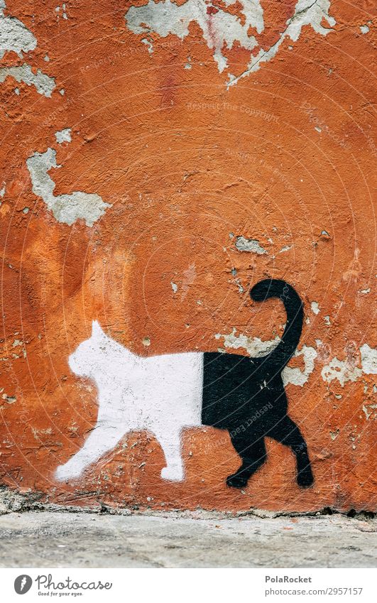 #S# whitecatblack Haustier ästhetisch Katze Grafiker Grafische Darstellung Graffiti Kunst Kontrast weiß schwarz zweiteilig geteilt Orange süß lackiert laufen