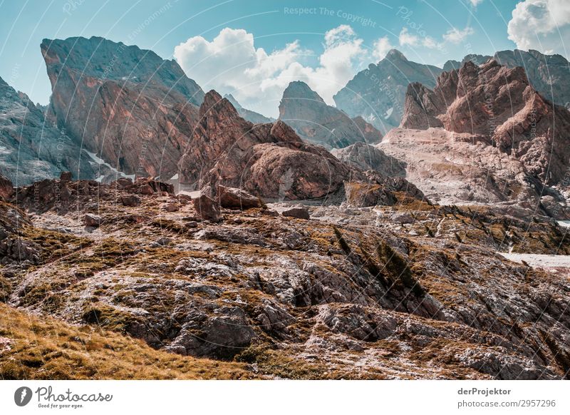 Dolomiten mit Felsen im Vordergrund III Abenteuer wandern Schönes Wetter schlechtes Wetter Nebel Gipfel Sommer Landschaft Natur Umwelt Ferne Freiheit