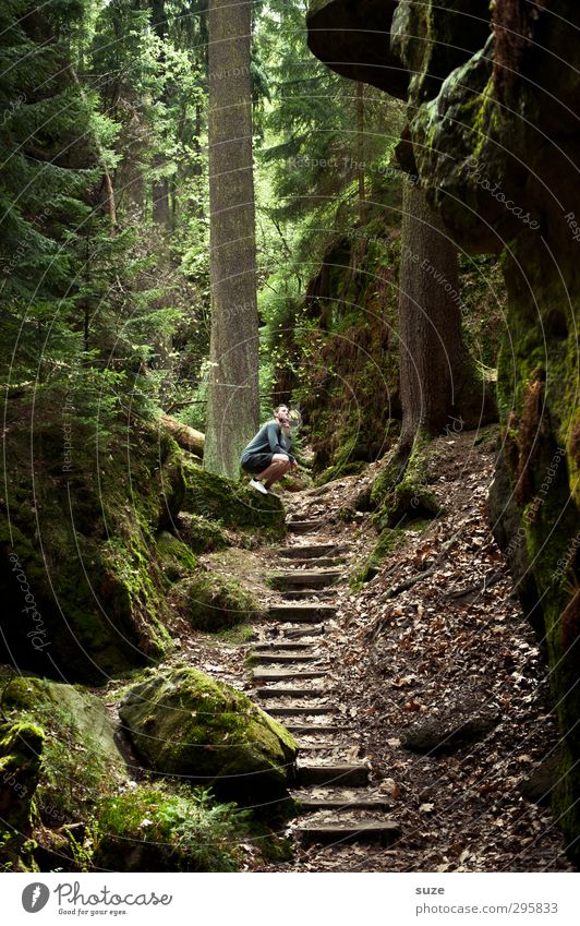 Dichter und Denker* Mensch maskulin Mann Erwachsene 1 18-30 Jahre Jugendliche Umwelt Natur Landschaft Pflanze Urelemente Erde Klima Baum Wald Felsen Treppe