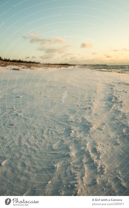 ^ Umwelt Natur Landschaft Himmel Wolken Winter Schnee Küste Ostsee Zingst Darß Weststrand lang Sauberkeit weich weiß Ferne Gedeckte Farben Außenaufnahme