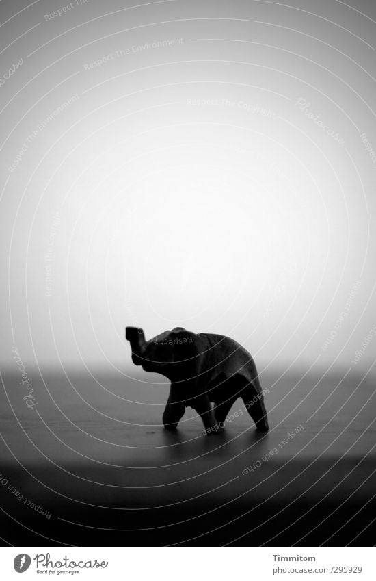 Jugendfoto | Die Welt und alles. Elefant 1 Tier Holz träumen einfach grau schwarz Gefühle Abenteuer Holzfigur Miniatur Schwarzweißfoto Muster Innenaufnahme