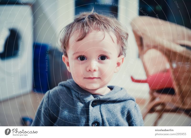 Jugendfoto | Struwwelpeter (: Wohnung Kind Kleinkind Junge 1 Mensch Haare & Frisuren Blick Freundlichkeit schön klein natürlich weich Freude Kindheit unschuldig