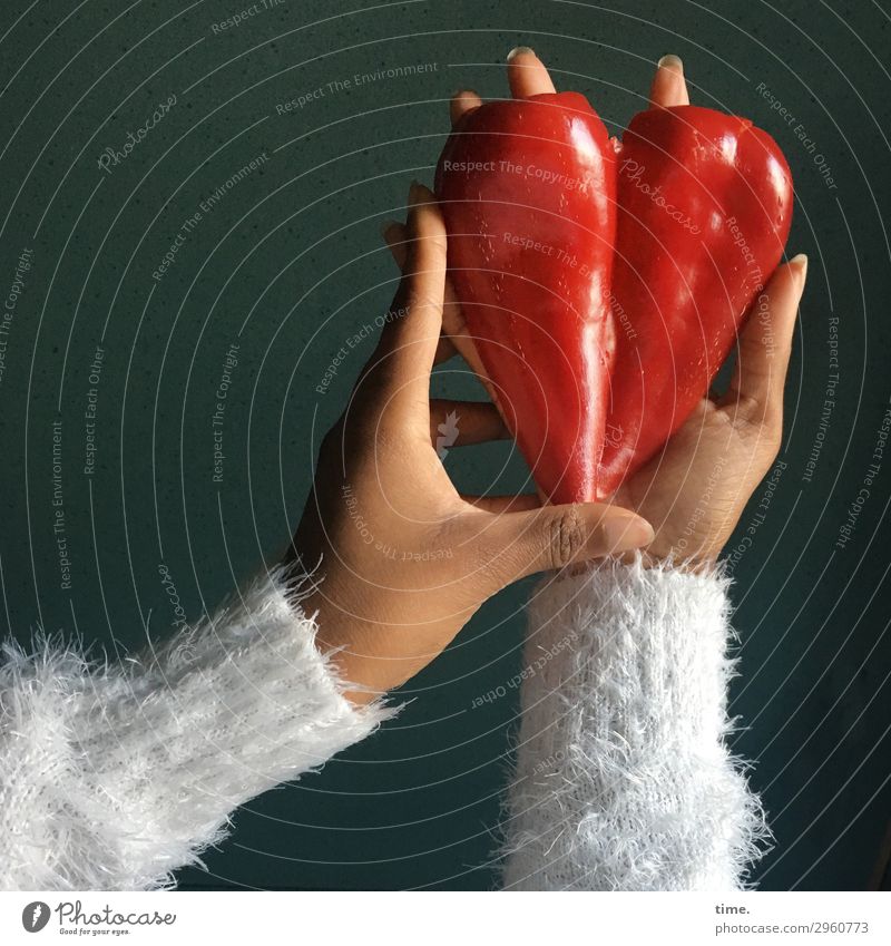 heart of nature | Fingerspitzengefühl Lebensmittel Gemüse Paprika Ernährung Vegetarische Ernährung Fingerfood feminin Arme Hand 1 Mensch Nutzpflanze Pullover