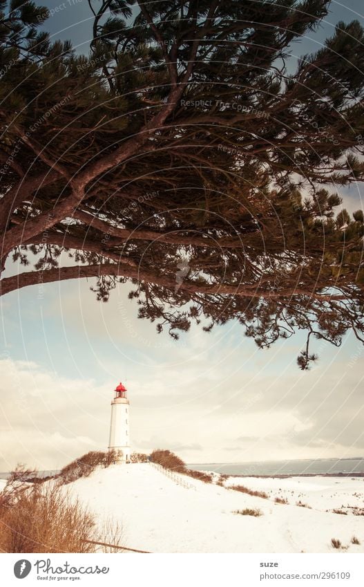 Der Hut steht ihm gut Umwelt Natur Landschaft Himmel Wolken Horizont Winter Klima Wetter Schönes Wetter Baum Hügel Küste Strand Ostsee Meer Insel Leuchtturm