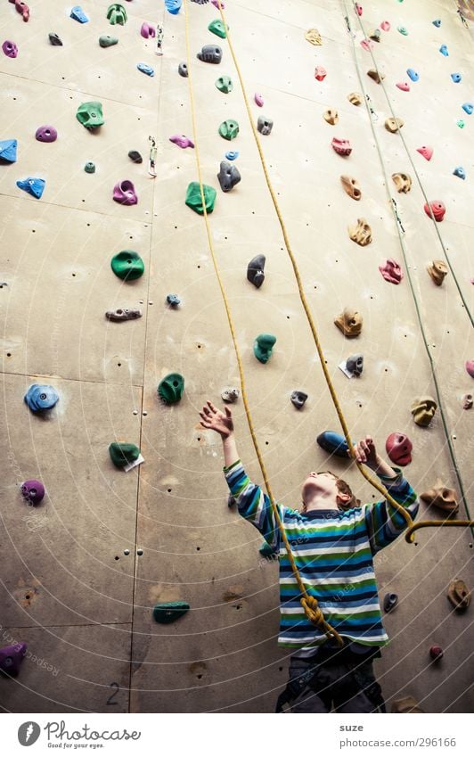 In den Seilen Lifestyle Freude Freizeit & Hobby Sport Klettern Bergsteigen Mensch Kind Junge 1 3-8 Jahre Kindheit Mauer Wand Kunststoff Fitness hoch klein