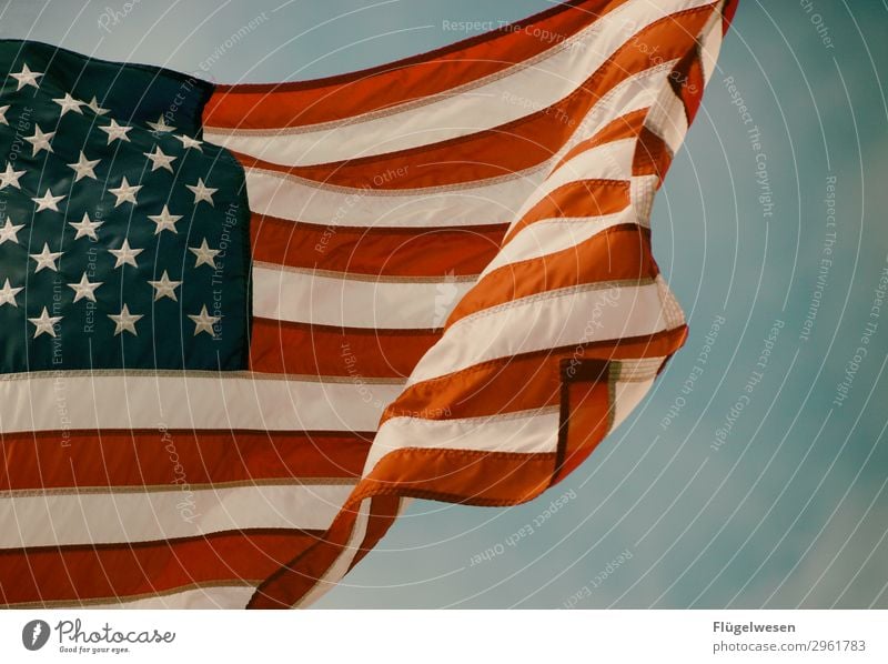 God bless America Amerika Amerikaner USA Stars and Stripes Fahne Nationalitäten u. Ethnien Patriotismus Lokalpatriotismus Erfolg Trump Tower Präsident Stoff