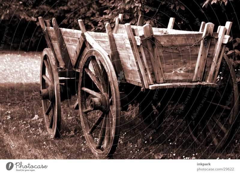 Aus alter Zeit Holz Wagen Karre Wiese Speichen Handwagen