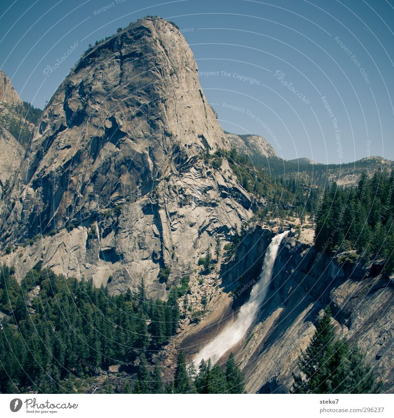 Yosemite Wolkenloser Himmel Wald Felsen Berge u. Gebirge Gipfel Wasserfall groß hoch blau grau grün Natur Yosemite NP Farbfoto Außenaufnahme Menschenleer
