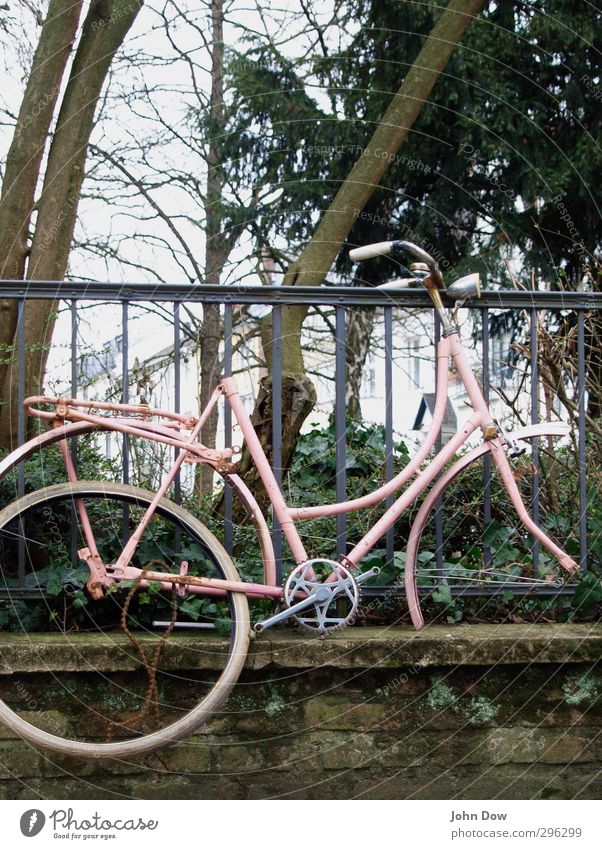 uplifting Pflanze Sträucher Stadt Mauer Wand Verkehrsmittel Fahrradfahren alt retro trashig Verfall Vergangenheit Vergänglichkeit Abheben wegwerfen Rost rosa