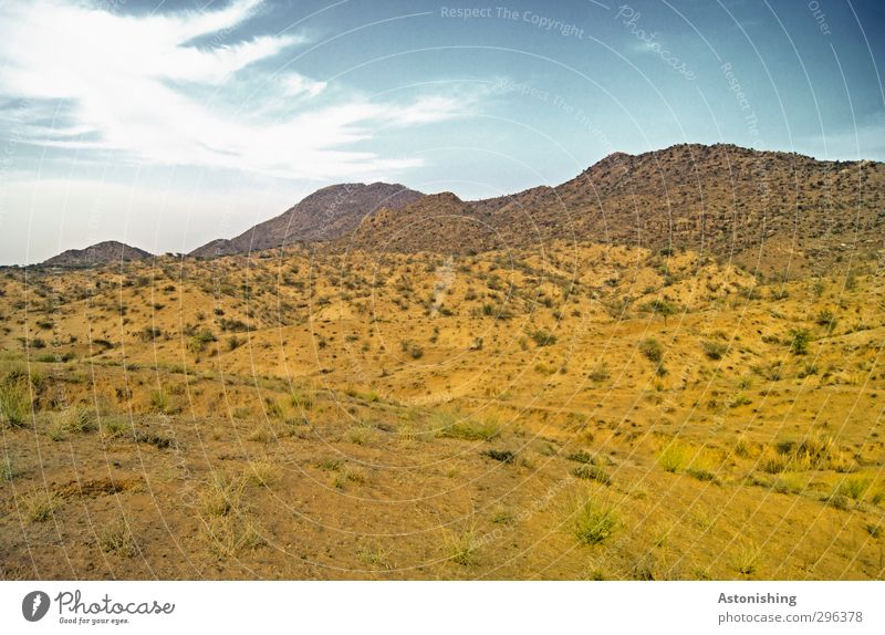 kahle Landschaft in Indien Umwelt Natur Pflanze Erde Sand Himmel Wolken Horizont Frühling Wetter Schönes Wetter Gras Sträucher Hügel Gipfel Wüste blau gelb