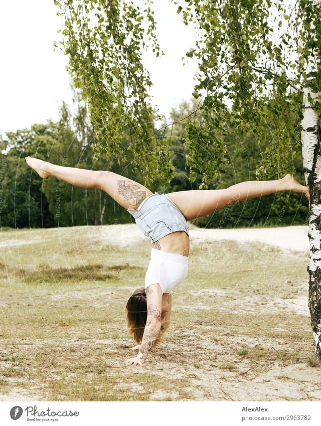 Tättowierte Frau macht Handstand/Spagat an einer Birke Lifestyle Stil schön Wellness Leben Ausflug Abenteuer Junge Frau Jugendliche Beine 18-30 Jahre Erwachsene