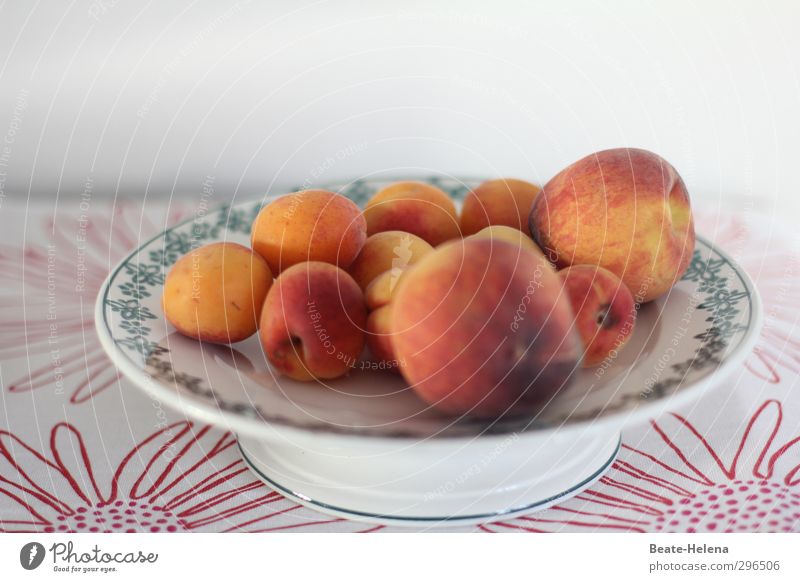 Vitaminbomben Lebensmittel Frucht Pfirsich Aprikose Essen Vegetarische Ernährung Schalen & Schüsseln Lifestyle Gesunde Ernährung Obstschale Tischwäsche Diät