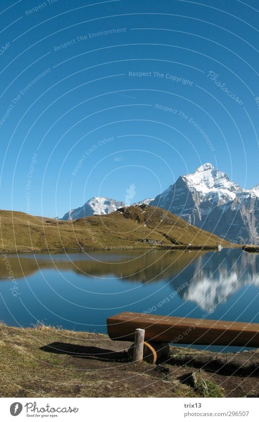 idyllisch Ausflug Berge u. Gebirge Natur Landschaft Wasser Himmel Wolkenloser Himmel Herbst Schönes Wetter Gras Hügel Alpen Gipfel Seeufer Bachalpsee blau grün