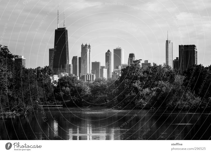 Naherholung Baum Park Teich Chicago USA Stadt Skyline Hochhaus ruhig Eile Oase Schwarzweißfoto