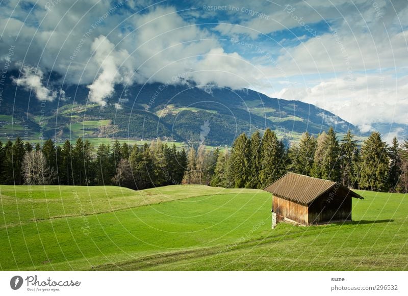 Schaun mer mal Ferne Sommer Berge u. Gebirge Haus Umwelt Natur Landschaft Urelemente Himmel Wolken Klima Schönes Wetter Baum Wiese Wald Alpen Hütte grün