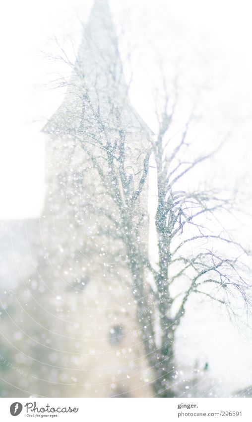 Die Kirche im Dorf lassen Bauwerk Sehenswürdigkeit grau weiß beige Baum Baumkrone Kirchturm Kirchturmspitze diffus Schnee Schneefall bleich Wolkendecke Winter