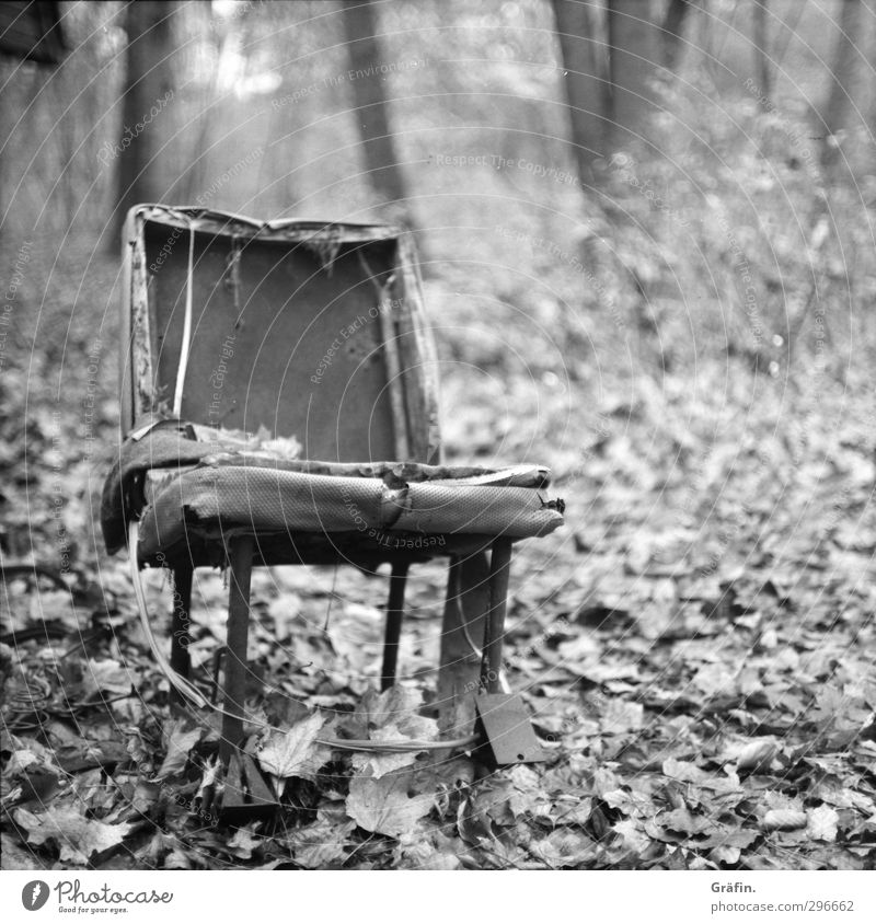 Waldsitz Umwelt Landschaft Herbst Blatt Stuhl Metall alt dehydrieren kaputt trashig grau schwarz weiß Zerstörung Schwarzweißfoto Menschenleer