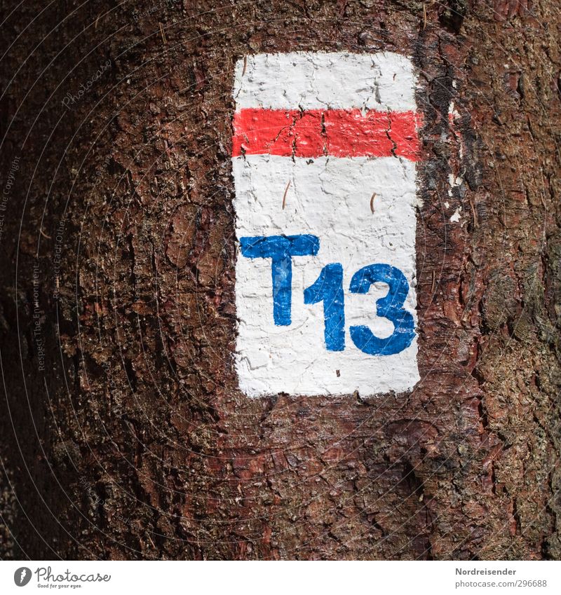 T 13 wandern Landwirtschaft Forstwirtschaft Baum Wald Wege & Pfade Holz Zeichen Schriftzeichen Ziffern & Zahlen Schilder & Markierungen Beginn Farbe Tourismus