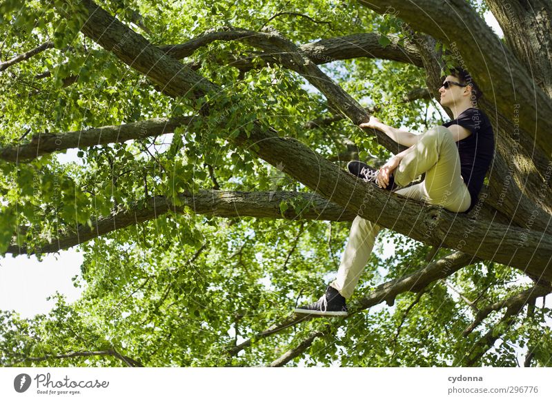 Waiting Lifestyle Stil Gesundheit Leben Wohlgefühl Erholung ruhig Mensch Junger Mann Jugendliche 18-30 Jahre Erwachsene Umwelt Natur Frühling Sommer Baum