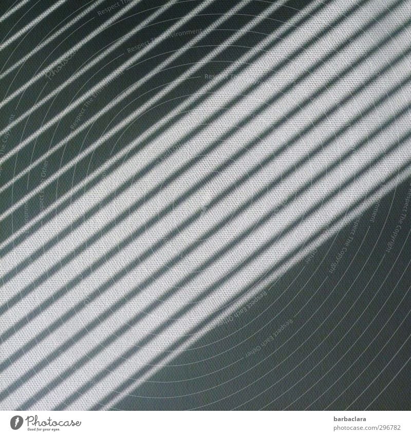 kopflastig | visuelle Wahrnehmung Tapete Sonnenlicht Gebäude Mauer Wand Fassade Jalousie Linie Streifen grau schwarz weiß Design Genauigkeit Stil Geometrie