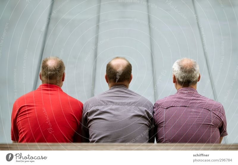 Kopflastig | Dreigestirn Mensch maskulin Mann Erwachsene 3 Menschengruppe 30-45 Jahre sitzen grau violett rot Rücken Glatze Haare & Frisuren Rückansicht