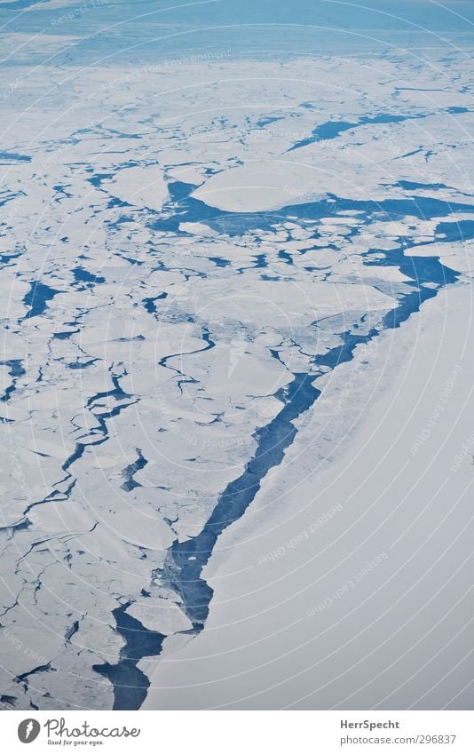 Eisbruch Natur Landschaft Urelemente Wasser Winter Klima Frost Schnee Gletscher Küste Bucht Meer ästhetisch Unendlichkeit kalt schön weiß Einsamkeit Eisscholle