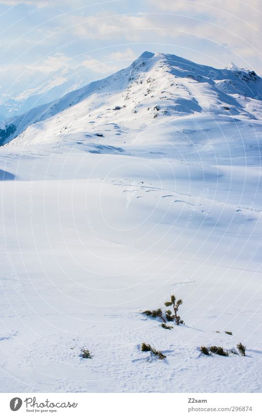 Abschied Winter Schnee Winterurlaub Natur Landschaft Alpen Berge u. Gebirge Gipfel ästhetisch Ferne gigantisch hoch kalt ruhig Abenteuer Einsamkeit entdecken