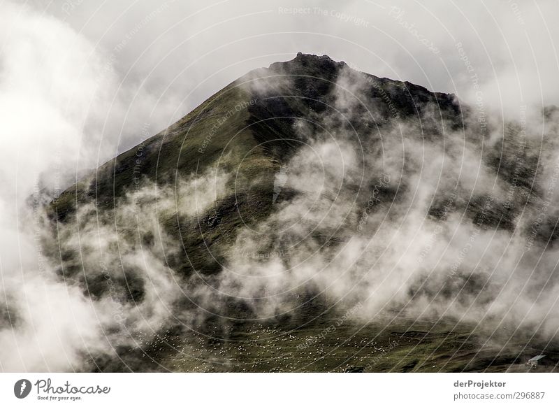 Nibulöser Berg Umwelt Natur Landschaft Pflanze Urelemente Sommer Klima Wetter Schönes Wetter schlechtes Wetter Wind Nebel Felsen Alpen Berge u. Gebirge Gipfel