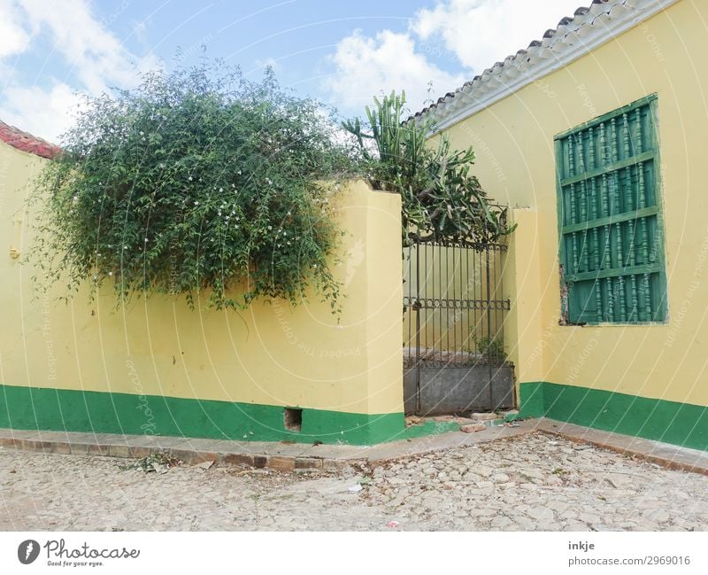 kubanischer Hinterhof Sommer Pflanze Baum Sträucher Dorf Menschenleer Haus Platz Mauer Wand Eisentor Tor natürlich blau gelb grün Kuba Farbfoto Außenaufnahme