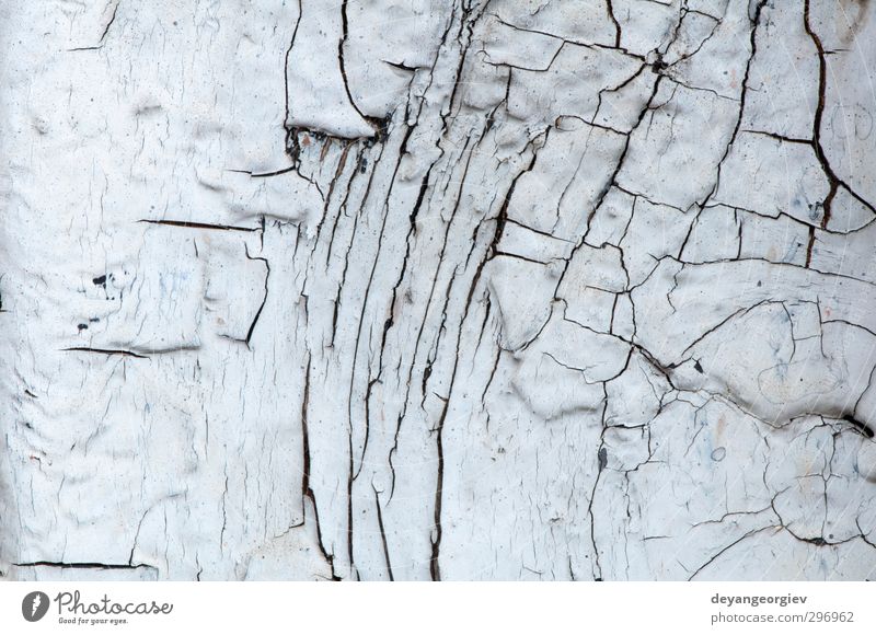 Alter Lackriss auf alten Platten Mauer Wand Fassade dreckig grün weiß Holz Konsistenz Farbe Hintergrund hölzern Holzplatte verwittert rau Grunge Riss texturiert